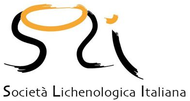 Logo SLI