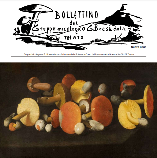 Logo CIPRA Italia